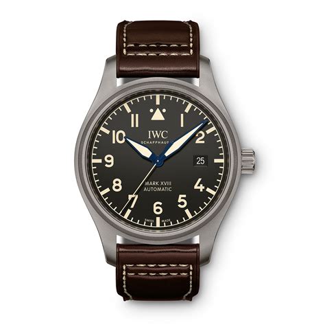 iwc titanium|iwc mark xviii heritage titanium.